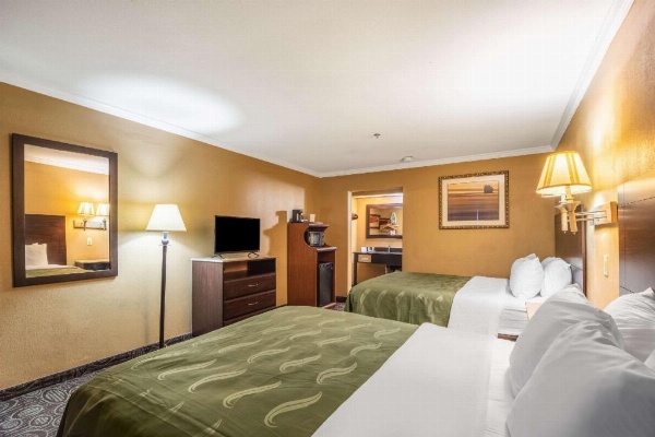 Quality Inn & Suites Ft. Jackson Maingate image 25